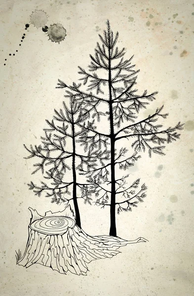 Black pen drawing of small fir-trees in a forest. Realistic hand-drawn illustration on vintage beige background. — Stock Photo, Image