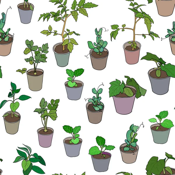 Бесшовный рисунок с различными саженцами и горшечными растениями. Векторный дизайн на белом фоне . — стоковый вектор