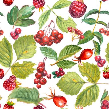 Suluboya yaprakları ve kırmızı meyveler seamless modeli: rose hips, ahududu, yaban mersini, alıç, somun, taş bramble, çilek.