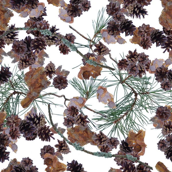 Seamless mönster med kottar, grenar och bark. Naturliga textur. — Stockfoto