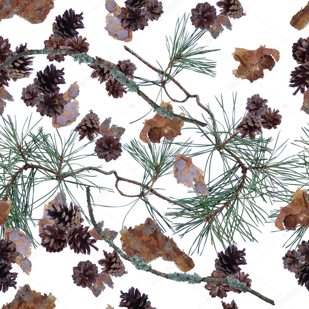 Seamless pattern with pine cones, bark, needles and branches on a white background
