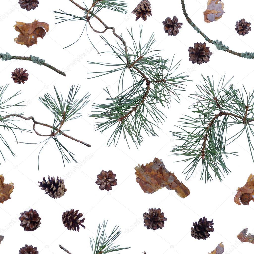 Seamless pattern with pine cones and branches isolated on a white background