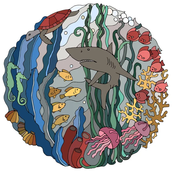 Elemento decorativo com um tubarão, algas, peixes, corais, tartaruga, conchas. Ilustração vetorial de cores . —  Vetores de Stock