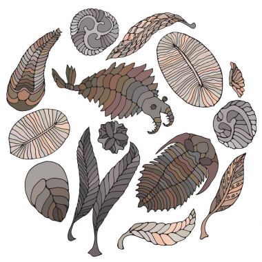 Neoproterozoic ve Paleozoyik dönemi faunası. Beyaz arka plan üzerinde parlak illüstrasyon. Anomalocaris, Vendia, Dickinsonia, Charnita, Trilobita.