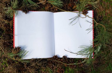 Çamın dalları ve koniler ile mockup kavramı. Boş beyaz sketchbook rustik arka planda doğal dekorasyon ile.