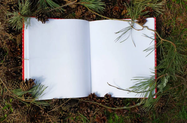 Mockup koncept med tall grenar och kottar. Den tomma vita skissbok på rustika bakgrunden med naturliga dekorationer. — Stockfoto