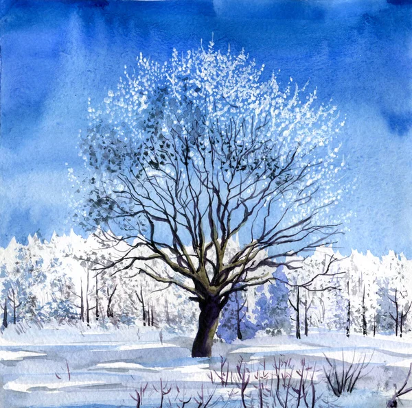 Watercolor Winter Landscape Tall Tree Center Sunny Day Bright Blue — Stock Photo, Image