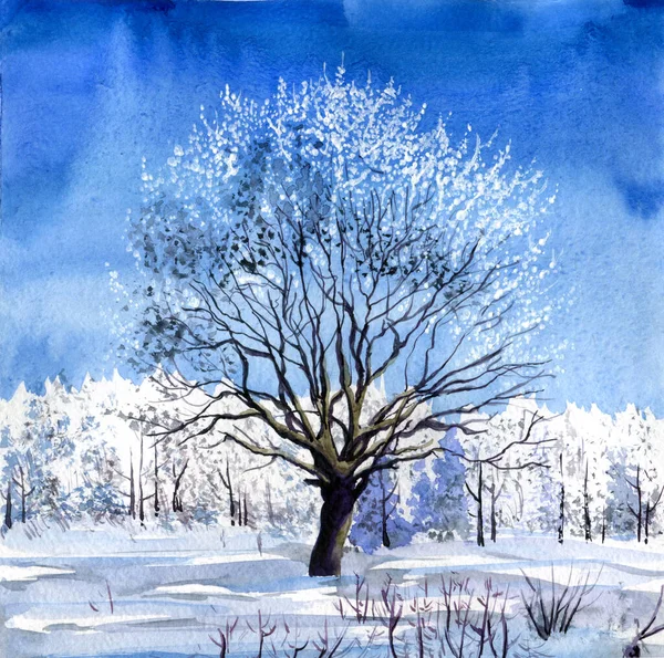 Aquarell Winterlandschaft Ein Hoher Baum Der Mitte Sonniger Tag Strahlend — Stockfoto