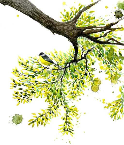 Akvarel Ilustrace Modrá Kozička Sedí Zeleném Listí Větve Tomtit Pták — Stock fotografie