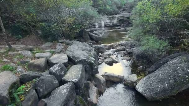 Aerial View Flying Up the River in Early Autumn — Stock Video