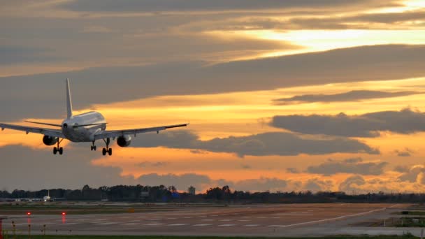 在日落时分在巴塞罗那机场降落的商业飞机 — 图库视频影像