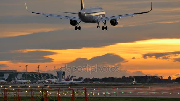 Avion commercial Atterrissage à l'aéroport de Barcelone au coucher du soleil. Avion de passagers Lufthansa atterrissant sous un ciel doré.Avion volant approchant piste d'aéroport.Avion approchant atterrissage à l'aéroport de Barcelone.Avion jet approchant piste d'aéroport.Avion de passagers — Video
