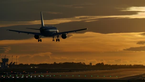 Kommersiella flygplan som landar på Barcelonas flygplats vid solnedgången — Stockvideo