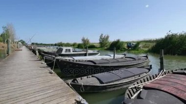 Nehre ahşap Dock aşağı yürüyüş