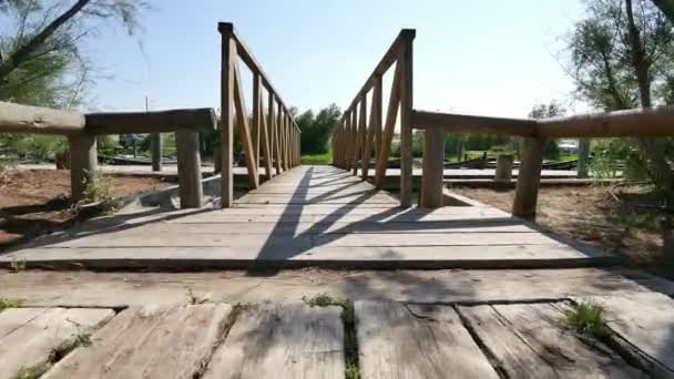 ウォーキングで、木製の橋桟橋まで — ストック動画