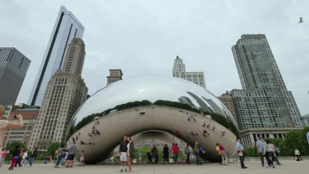 Turystów w Chicago Bean pomnik w parku Millennium. Tłumy odwiedzających Millennium Park w Chicago. Panoramy Chicago wznosi się w tle. Film pokazujący punkt orientacyjny w Illinois. — Wideo stockowe