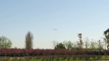 Jet uçağı Airbus A320 yaklaşan açılış. Vueling yolcu jeti Ec-Mbtjet uçak yaklaşan açılış Barcelona airportcommercial uçağı, uçuş. Gökyüzüne uçan yolcu uçağı. Barcelona havaalanına iniş uçak.