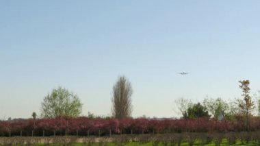 Jet uçağı Boeing 737 açılış yaklaşıyor. Ryanair yolcu jeti Ei-Dcgjet uçak yaklaşan açılış Barcelona airportcommercial uçağı, uçuş. Gökyüzüne uçan yolcu uçağı. Barcelona havaalanına iniş uçak.