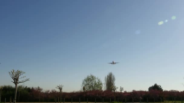 Avião a jato Airbus A320 a aproximar-se da aterragem. Avião de passageiros da Vueling Avião EC-LABJet se aproximando de pouso no aeroporto de Barcelona Avião comercial voando.Avião de passageiros voando pelos esquios.Aterragem de aeronaves no Aeroporto de Barcelona . — Vídeo de Stock