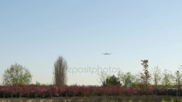 Aterragem de avião comercial. Aterragem de aeronaves no Aeroporto de Barcelona. Avião de passageiros pouso.Aeronave pousando no Aeroporto de Barcelona Avião de passageiros pouso.Avião voador se aproximando pista de pouso . — Vídeo de Stock