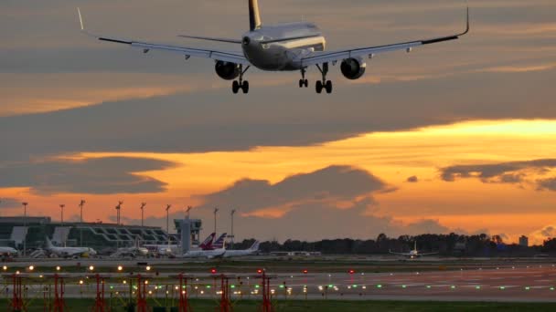 在日落时分在巴塞罗那机场降落的商业飞机 — 图库视频影像