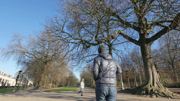 Man Walking Park Center Brussels Winter Landscape Trees Leaves — Stockvideo