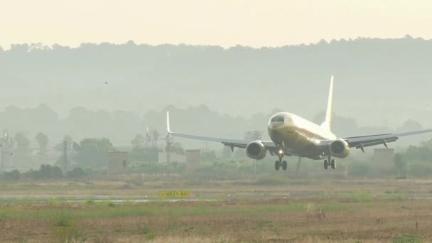 Ticari uçak Mayorka havaalanına iniş. Uçak yolcu iniş, Mayorka Airport.Hapagfly havayolu yolcu uçak iniş. Uçak D-Atud Boeing 737-800.Commercial uçağı iniş. Jet uçağı piste yaklaşan uçan. — Stok video