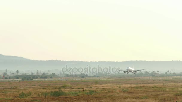 Στροβιλωθητής αεροπλάνο προσγειώνεται στο αεροδρόμιο της Μαγιόρκα. Επιβατικό αεροπλάνο προσγείωση στη Μαγιόρκα Airport.Condor αερογραμμές επιβατικό αεροπλάνο προσγείωση. Αεροσκάφη αεροσκάφος D-Aiae Airbus A321-200.Commercial προσγείωσης. Που φέρουν αεριωθούμενο αεροπλάνο πλησιάζει αεροδιάδρομο. — Αρχείο Βίντεο