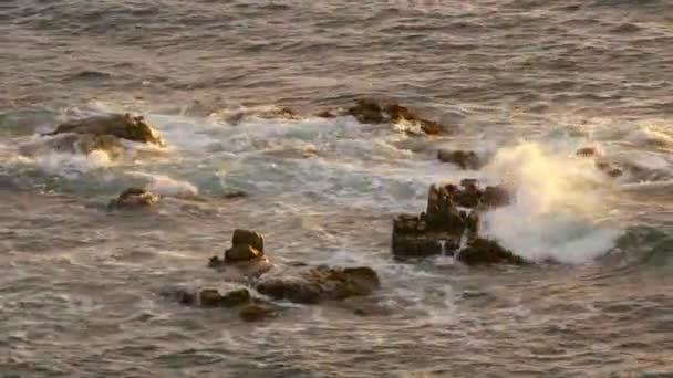 L'acqua del mare dorato sulle rocce — Video Stock