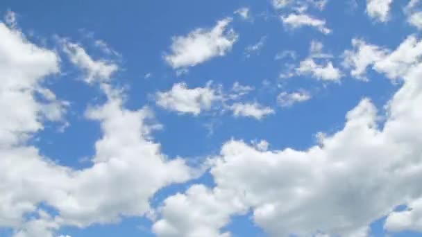 Witte katoenen wolken in de zomer — Stockvideo