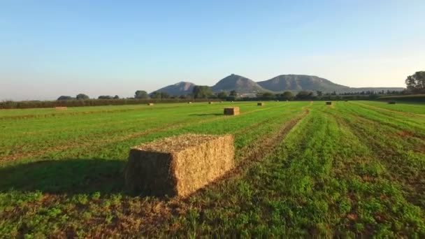 Εναέρια πράσινο πεδία με μπάλες αχύρου — Αρχείο Βίντεο