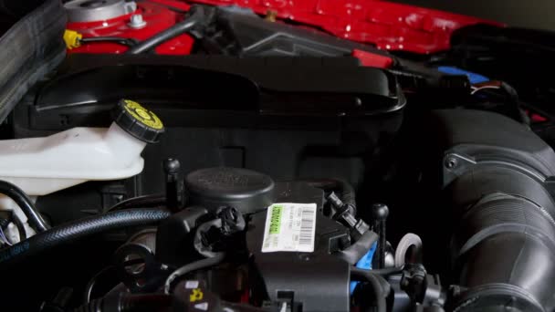 Repairman Disassembling Engine Red Car Repairs Footage Mechanic Testing Looking Royalty Free Stock Video