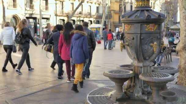 Barcelona Catalonia February 2018 Canaletes Fountain Les Rambles Boulevard City — Stock Video