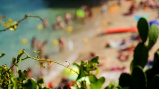 Verano Playa Bajo Sol España Playa Típica Mediterránea Día Verano — Vídeos de Stock