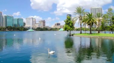 Göl Eola Park şehir merkezinde Orlando Florida. Onun kuğular ve şehir manzarası ile göl manzarası. Orlando şehir merkezi kentsel yeşil alan. Lake shore şehir manzaralı silueti, çeşmeler ve rekreasyon alanları. Orlando Rosalind cadde üzerinde bulunan.