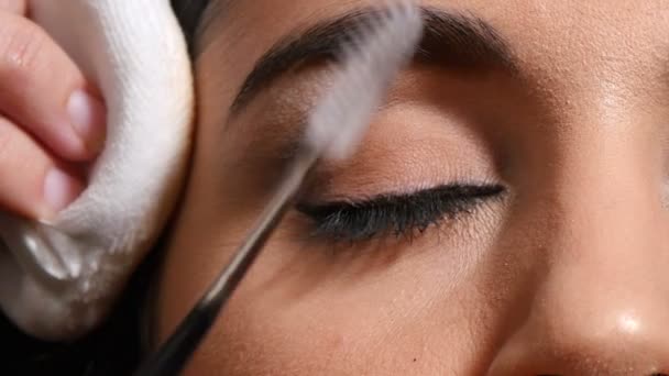 Stylist Kämmen Der Wimpern Mit Einem Eyeliner Und Einem Augenbürsten — Stockvideo