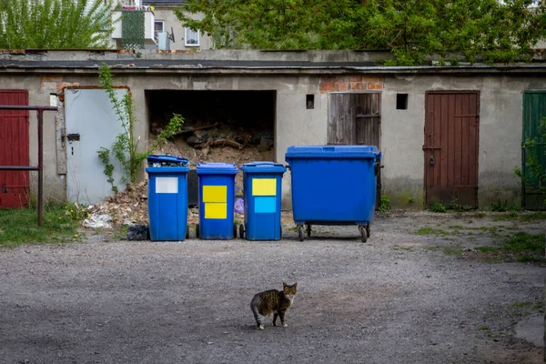 Vuilnisbakken Voor Het Scheiden Van Afval — Stockfoto