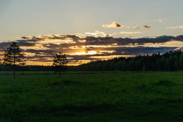 Kaluga regione, viaggi, paesaggio e natura della Russia. Luce drammatica all'alba. — Foto Stock