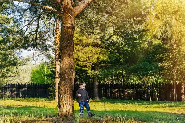 Un niño pequeño camina bajo un árbol detrás de una cerca dentro de una parcela de casa de campo Fotos De Stock