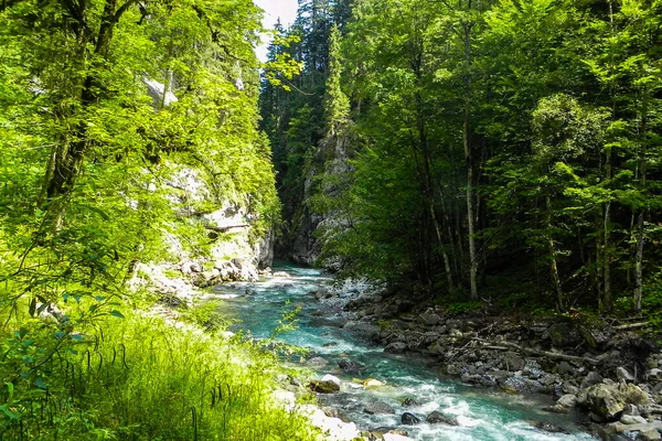 Pequeno Rio Rápido Flui Através Floresta Verde Através Das Rochas — Fotografia de Stock