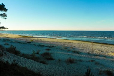 Huzurlu bir deniz kıyısı ve açık mavi bir gökyüzü.