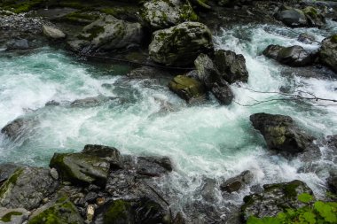Küçük hızlı bir nehir kayaların ve büyük taşların arasından akar.