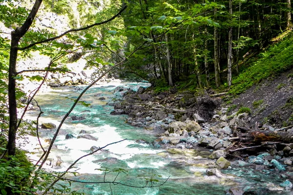 Río Rápido Con Muchas Piedras Fluye Través Del Bosque — Foto de Stock