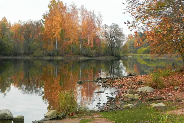 Gelbe Und Rote Blätter Von Bäumen Die Herbst Fluss Neben — Stockfoto