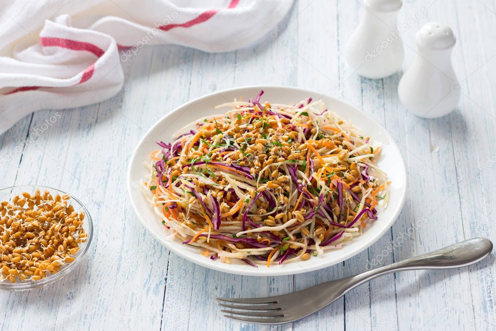 Salad Cole slaw with red cabbage and wheat sprouts