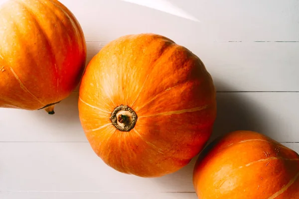 Large pumpkins on white background, autumn mood, soft sun light, space for text, white background