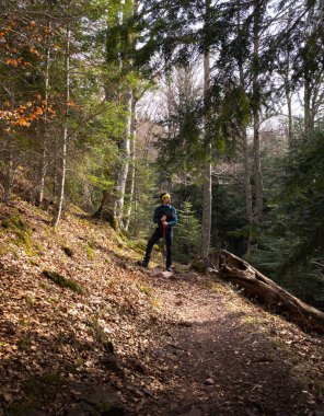 Ormanda yürüyüş yapan bir adam