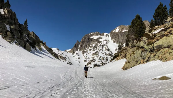 小男孩在雪地里徒步旅行 — 图库照片