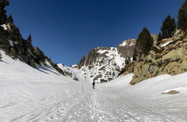 小男孩在雪地里徒步旅行 — 图库照片