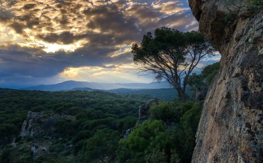 Gün batımında orman manzarası